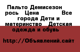 Пальто Демисезон 104 рось › Цена ­ 1 300 - Все города Дети и материнство » Детская одежда и обувь   